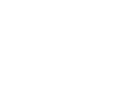 Guess_logo.svg.png